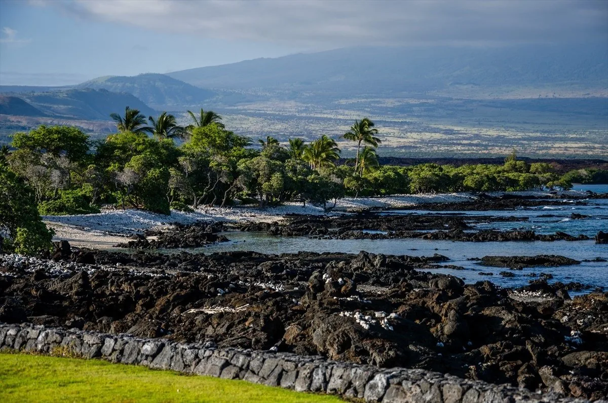 The West Hawaii coastline: black lava shore and a white-sand cove backed by palms, turquoise water, and the long slope of Mauna Kea.